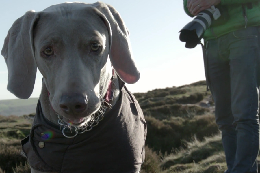 Maddie at The Roaches